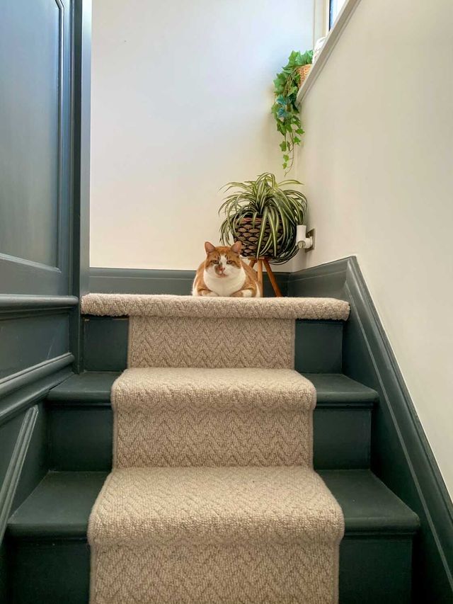 Natural Tweed - Stairs 