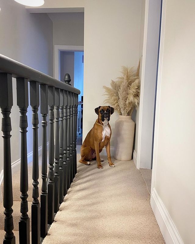 Casablanca - Beige Cobble Beige Hallway