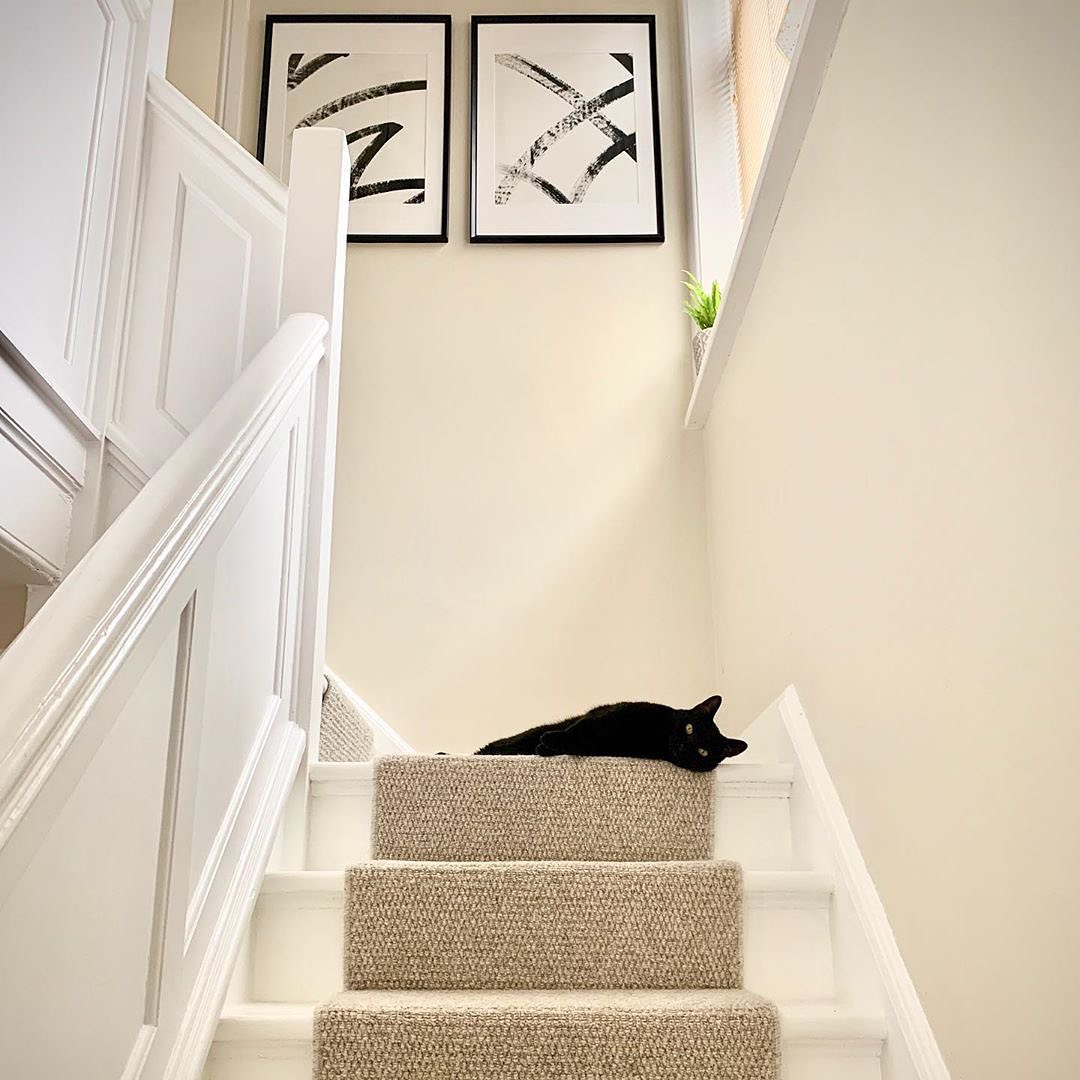 Hyde Park Carpet Beige Stairs