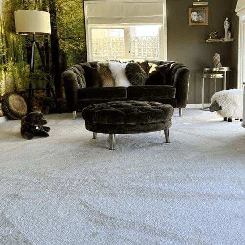 Carpet Buying Guide