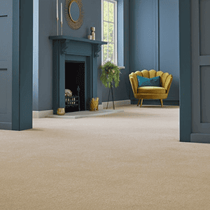 Carpet of the Year 2026