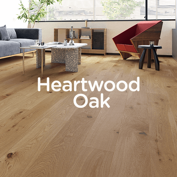 Spotlight: Heartwood