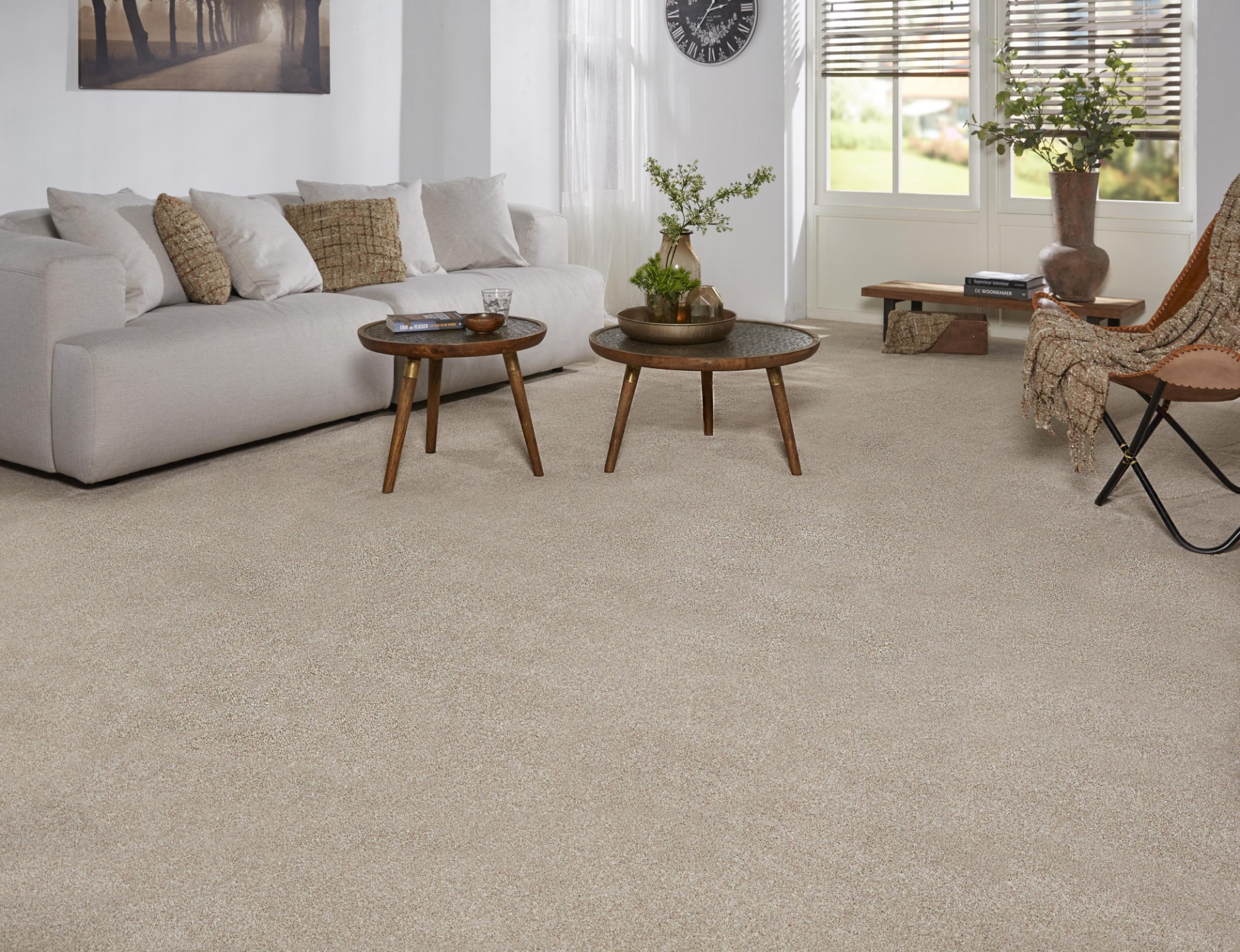 Dallas Carpet Tapi Carpets & Floors