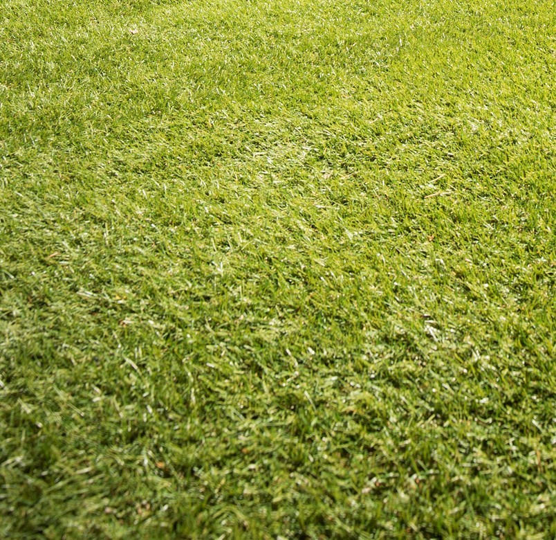 Sydney artificial grass