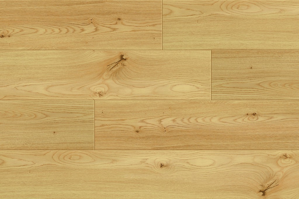 Falco vigo oak