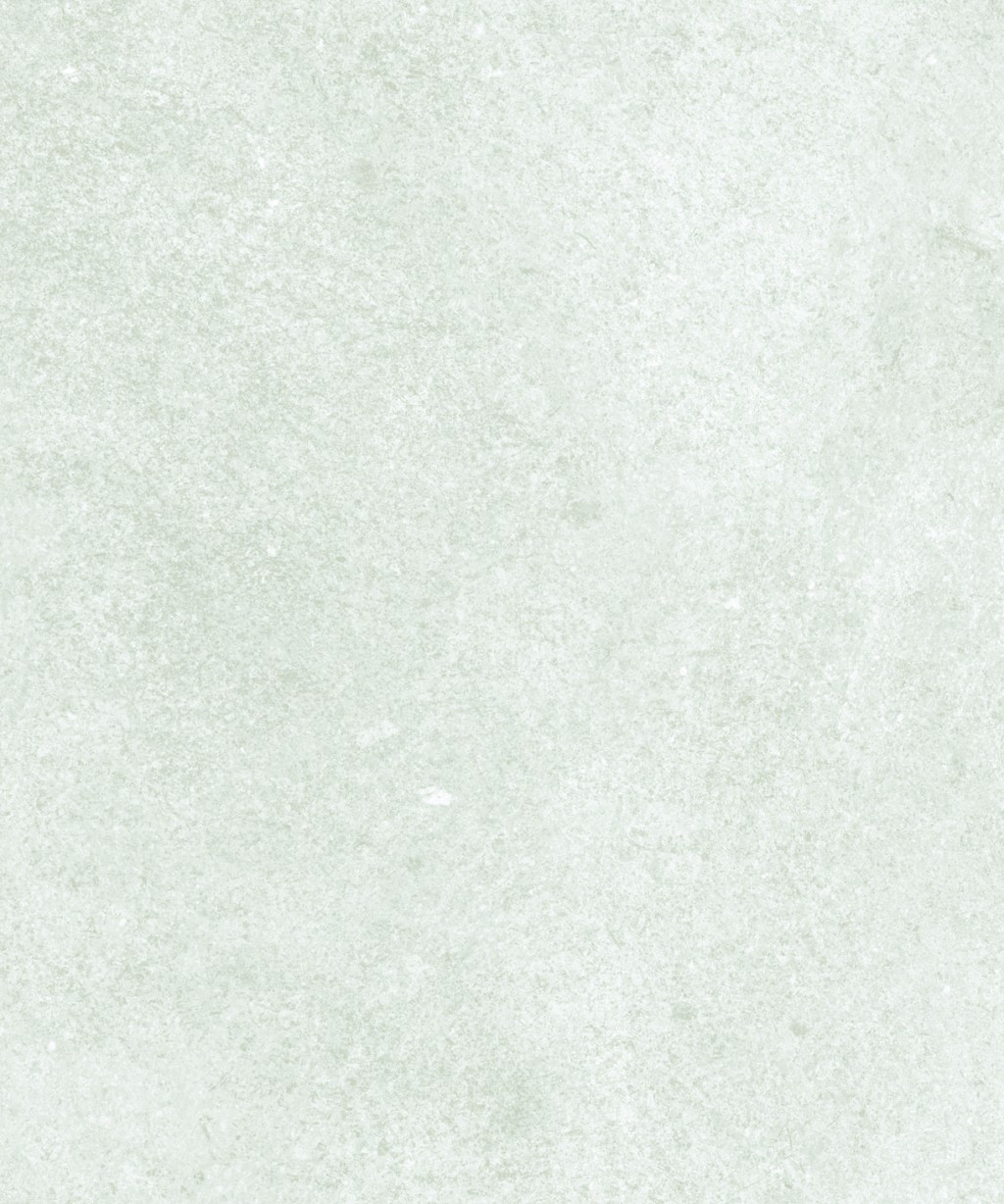Everywhere LVT: Tinga