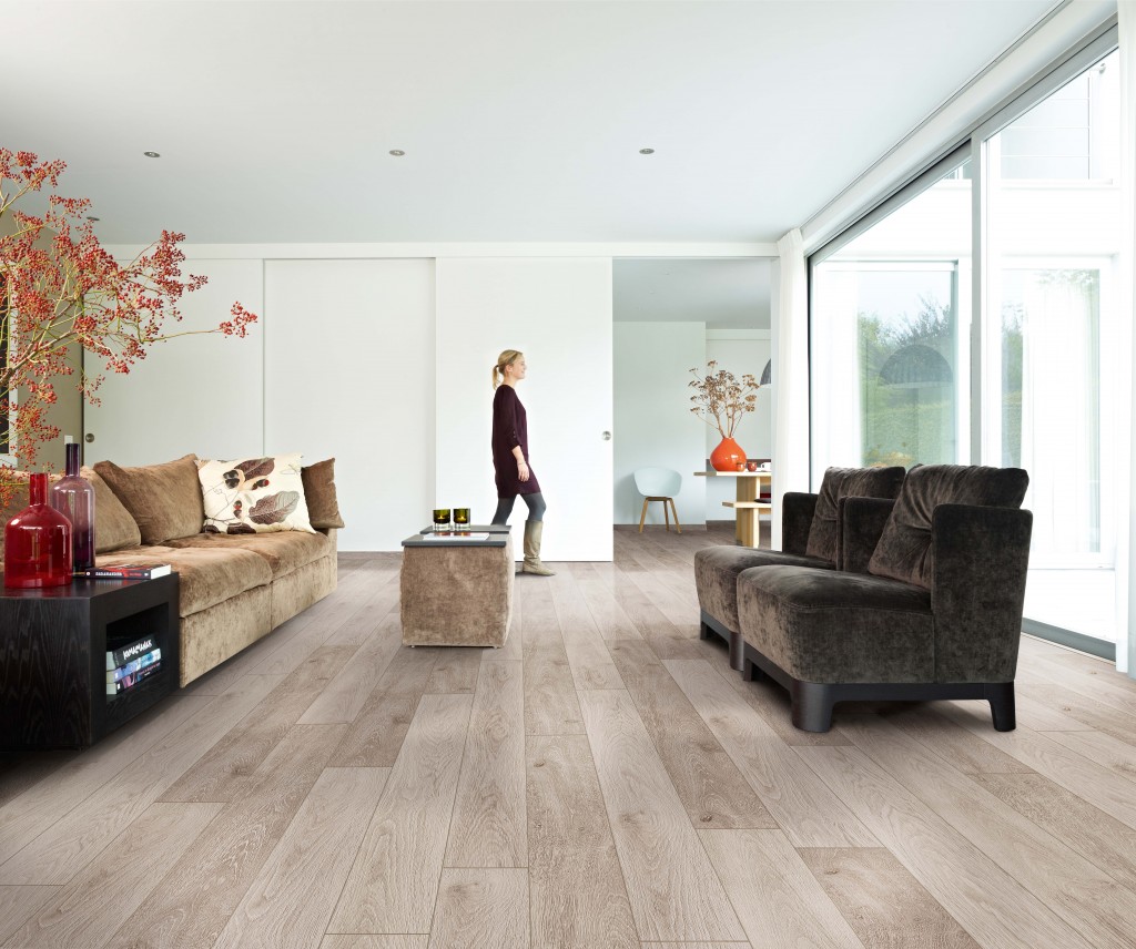 Sasa - Normandy Oak