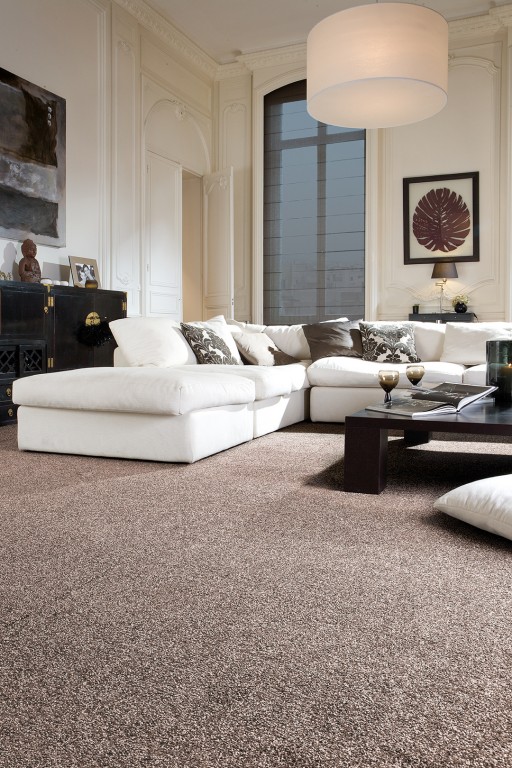 Tapi Fraser Twist carpet