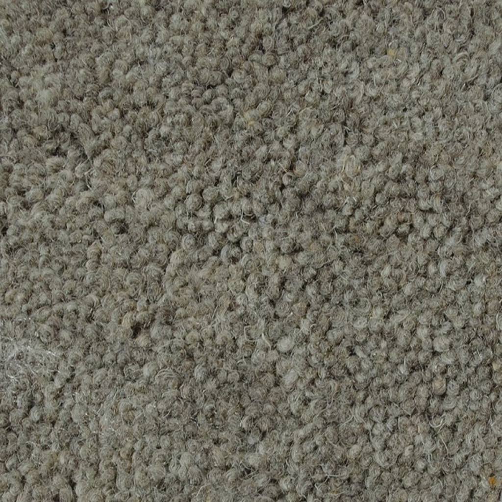 Woodstock Carpet Tapi Carpets & Floors