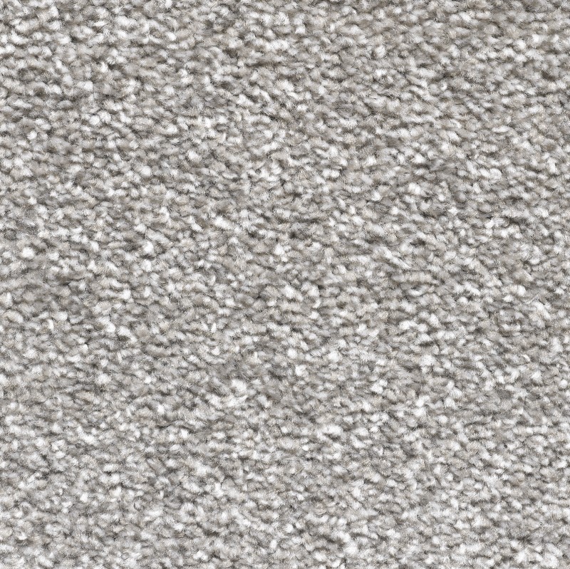 Dallas Carpet Tapi Carpets & Floors