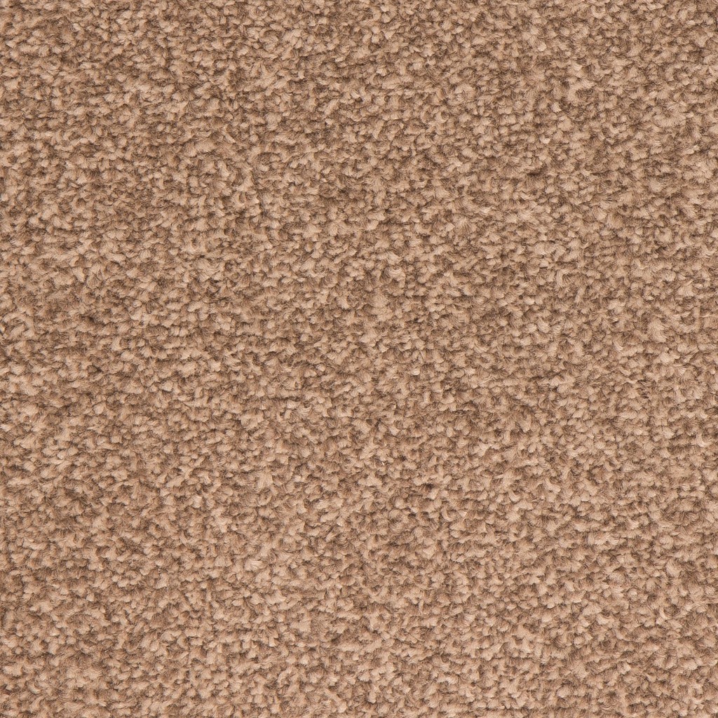 Regal Carpet Tapi Carpets & Floors