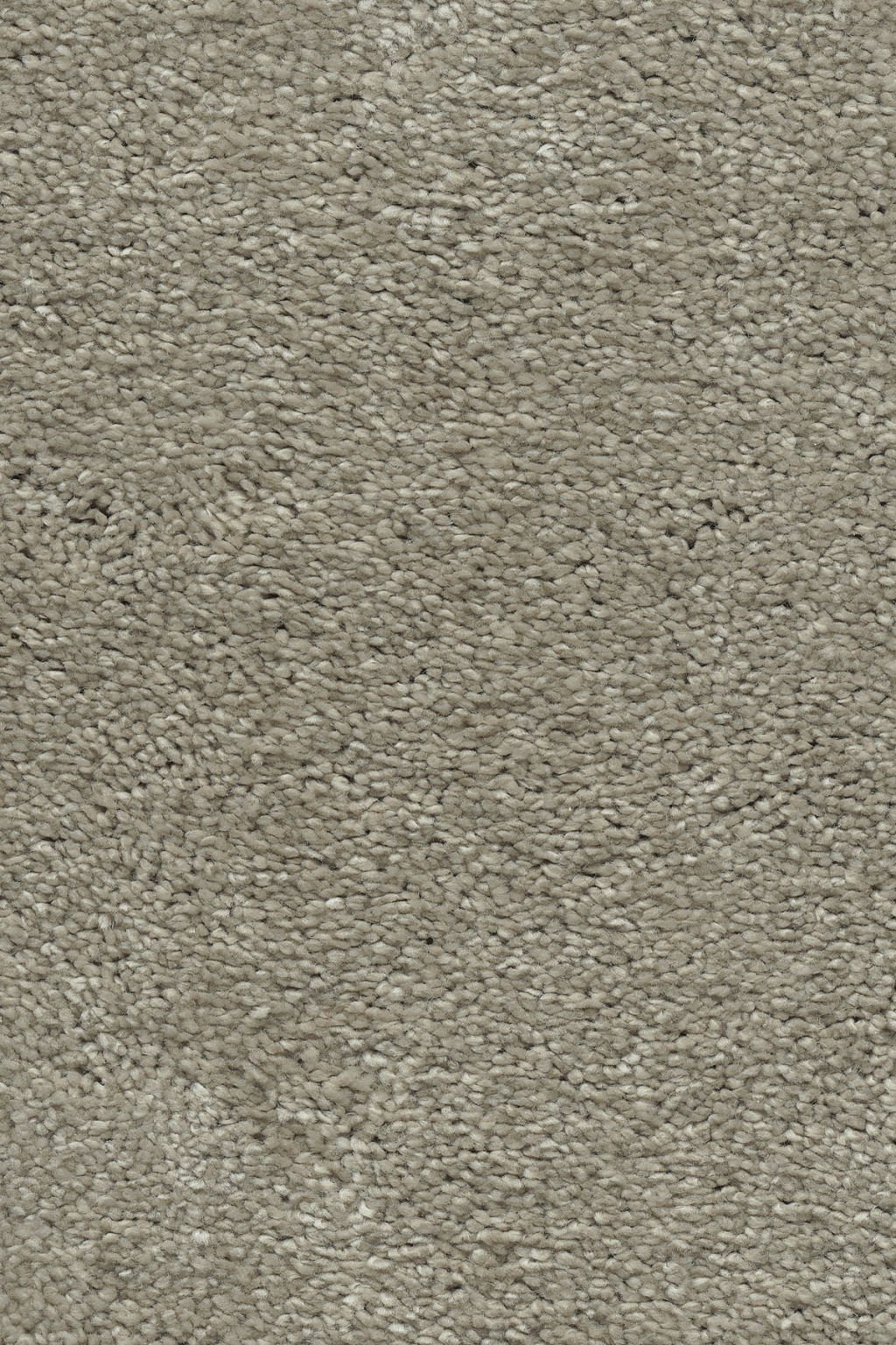 Lotus Carpet Tapi Carpets & Floors