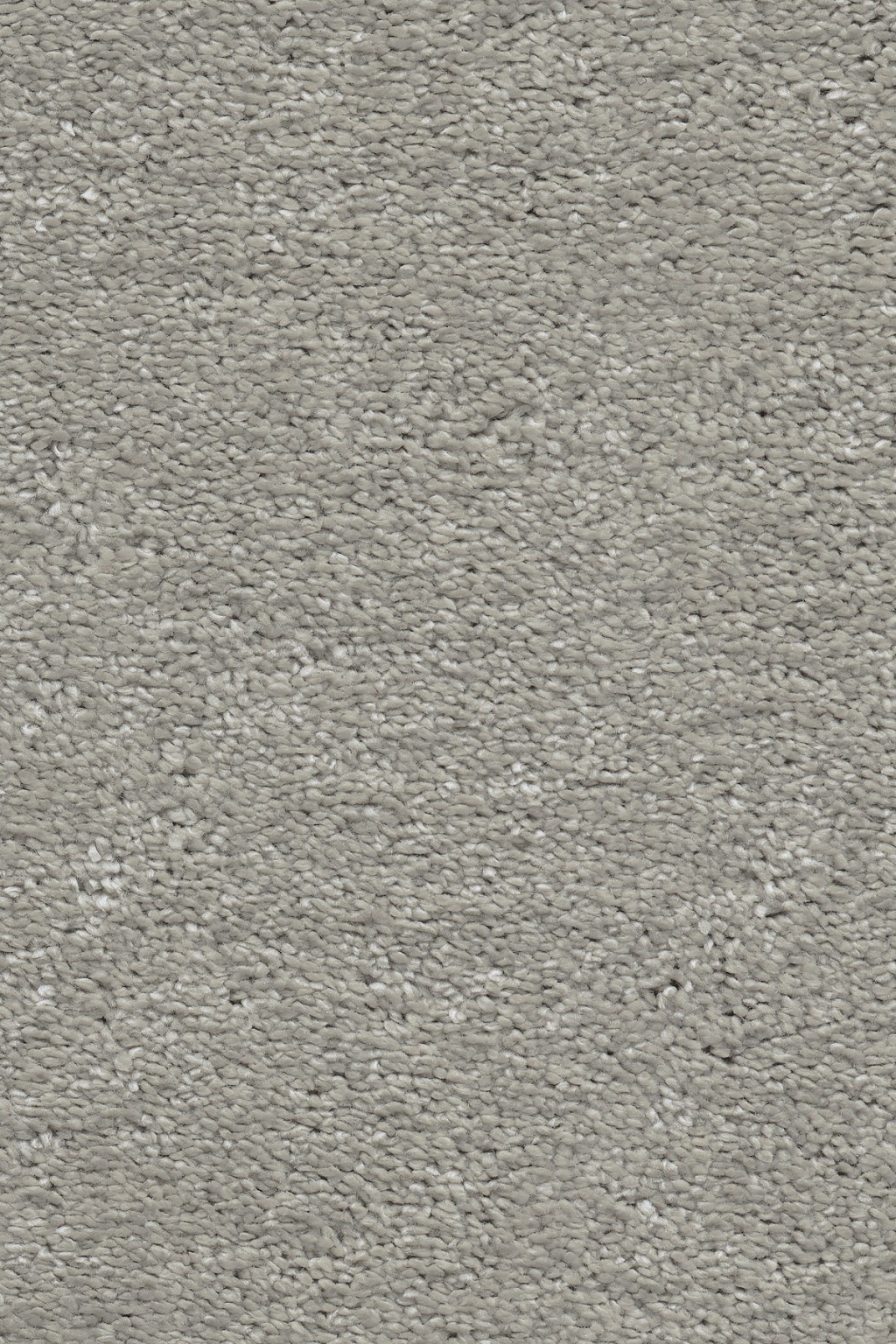 Lotus Carpet Tapi Carpets & Floors