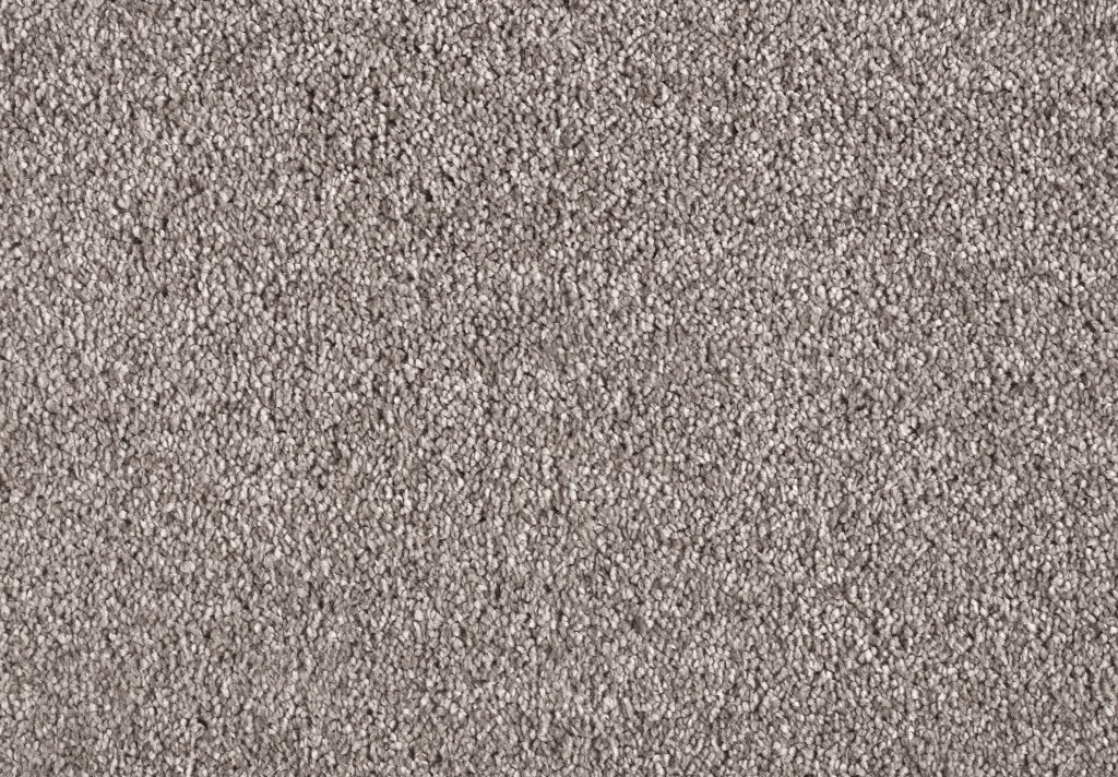 Petersburg Tapi Carpets & Floors