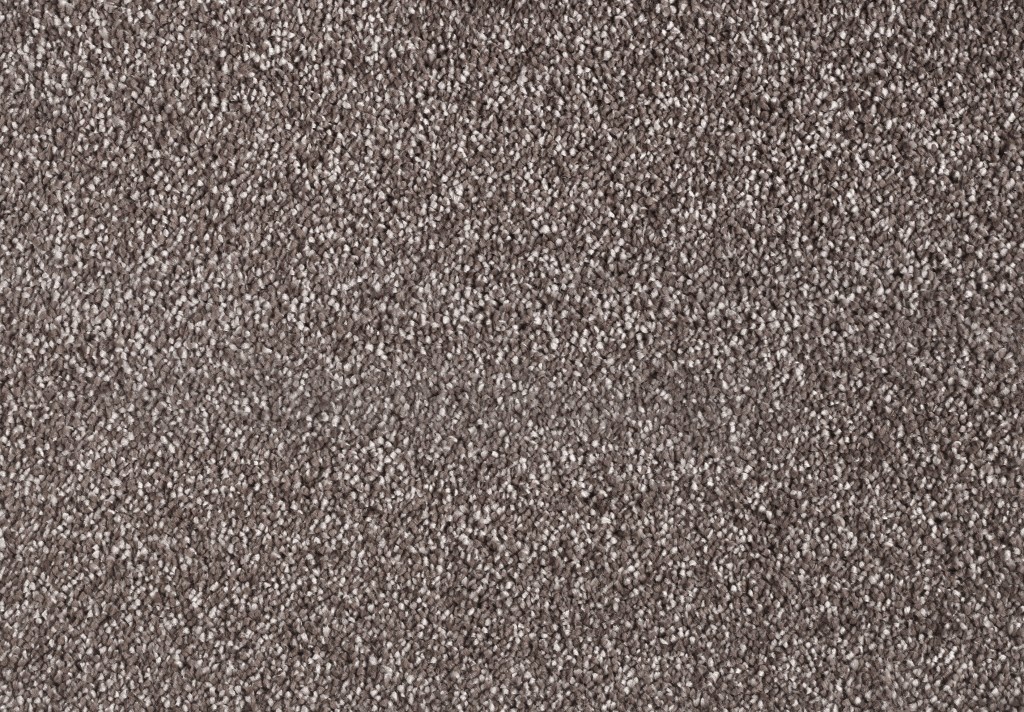 Petersburg Tapi Carpets & Floors