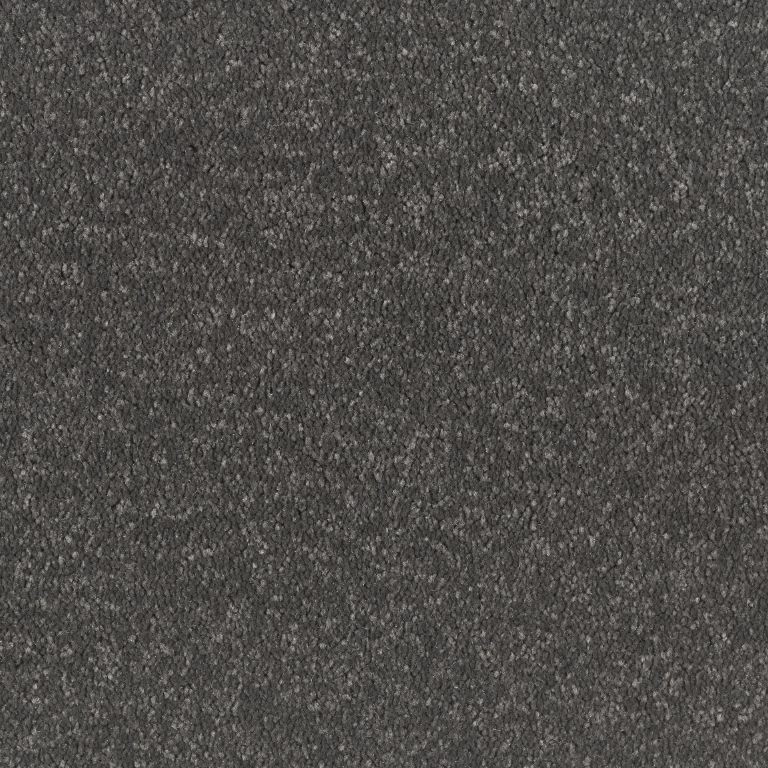 Melbourne Carpet Tapi Carpets & Floors