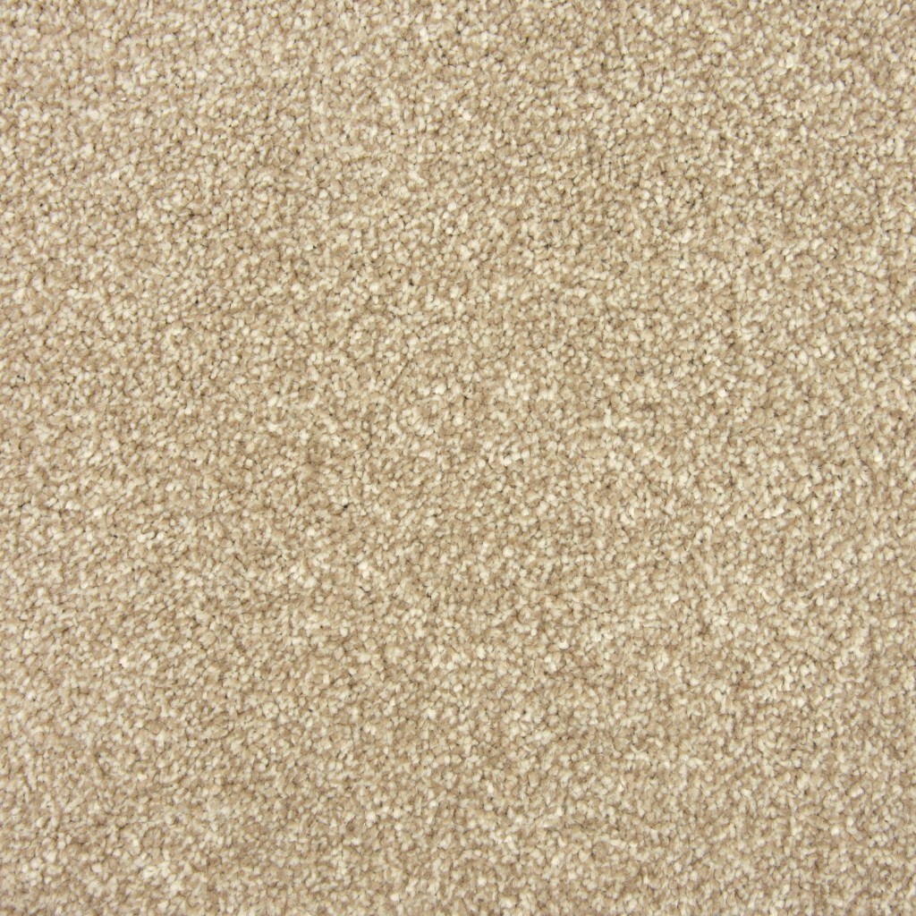 Abbey Carpet Tapi Carpets & Floors