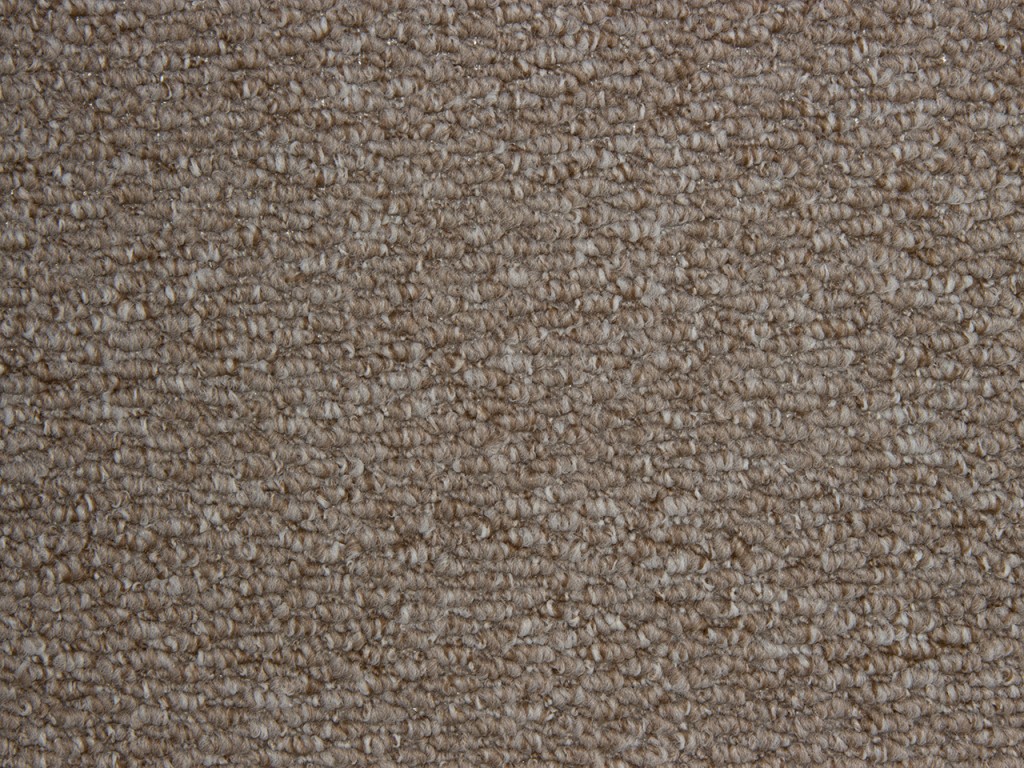 Buy Beige Carpets Online Upto 50 Off Tapi Carpet & Flooring