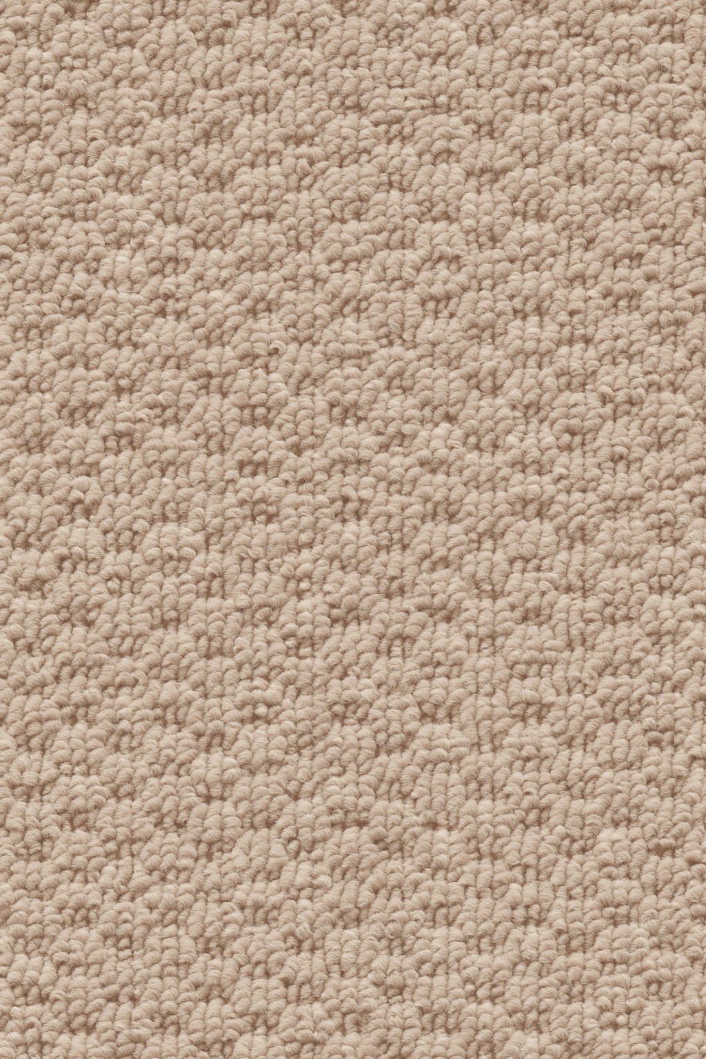 Mackay Loop Pile Carpet Tapi Carpets & Floors