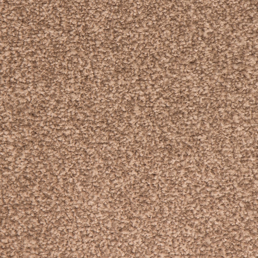 Nevada Twist Carpet Tapi Carpets & Floors