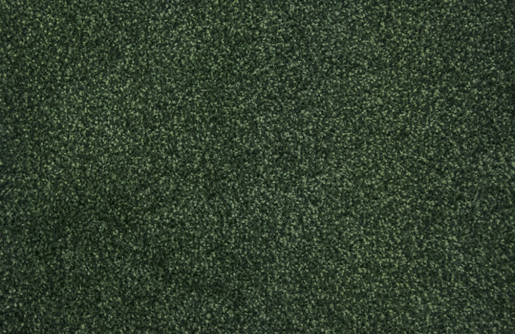 Brampton Saxony Carpet Tapi Carpets & Floors