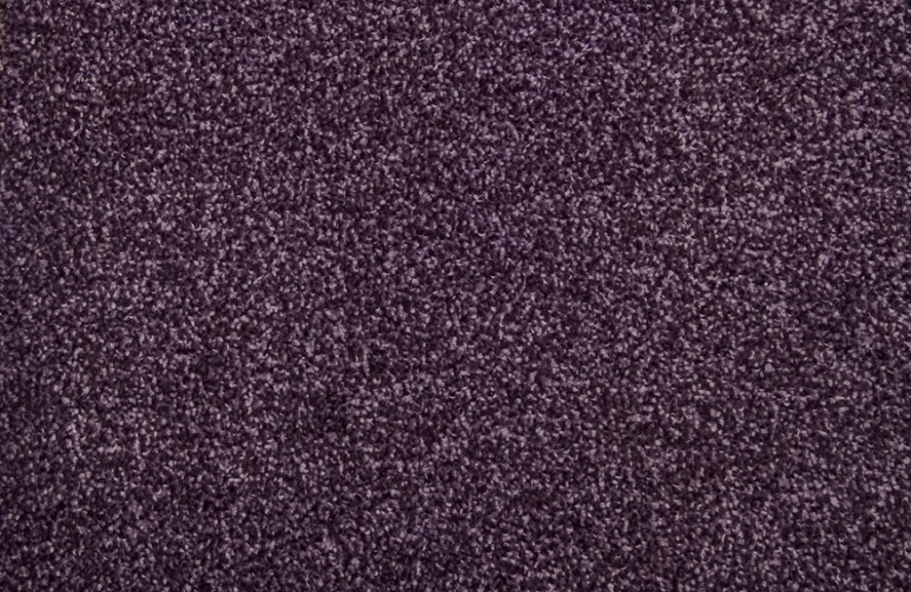 Purple Carpet Tapi Carpets & Flooring