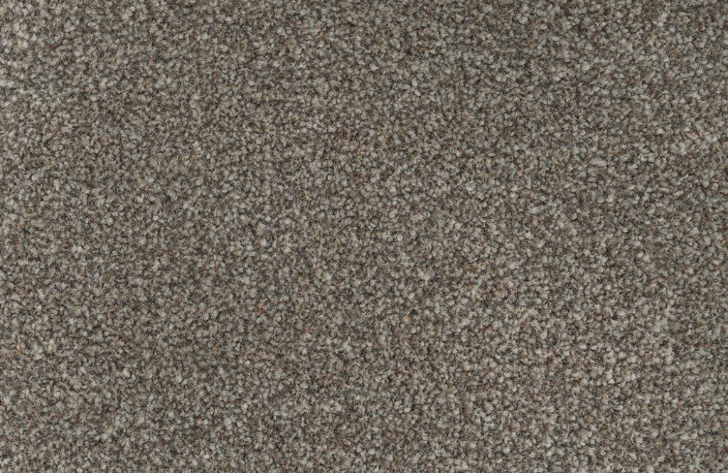 Eclipse Twist Carpet Tapi Carpets & Floors