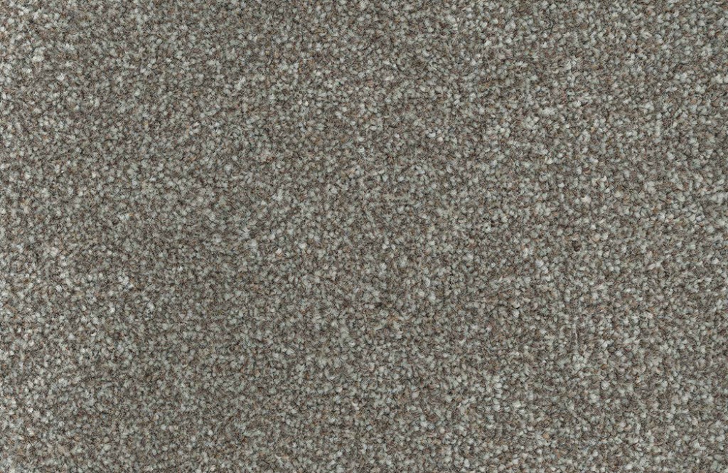 Eclipse Twist Carpet Tapi Carpets & Floors