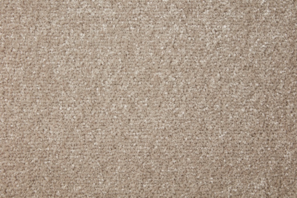 Homestead Twist Carpet Tapi Carpets & Floors