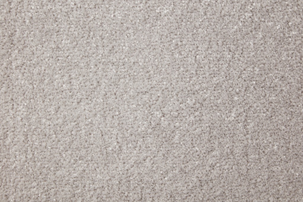 Homestead Twist Carpet Tapi Carpets & Floors