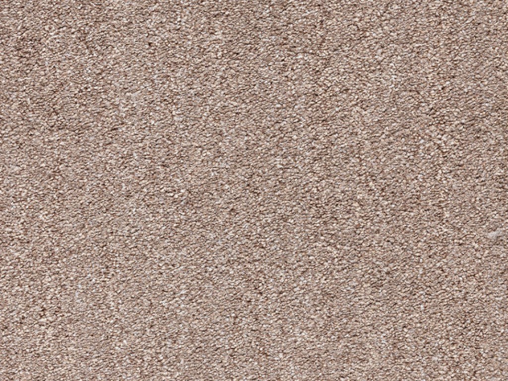 Monarch Deep Pile Twist Carpet Tapi Carpets