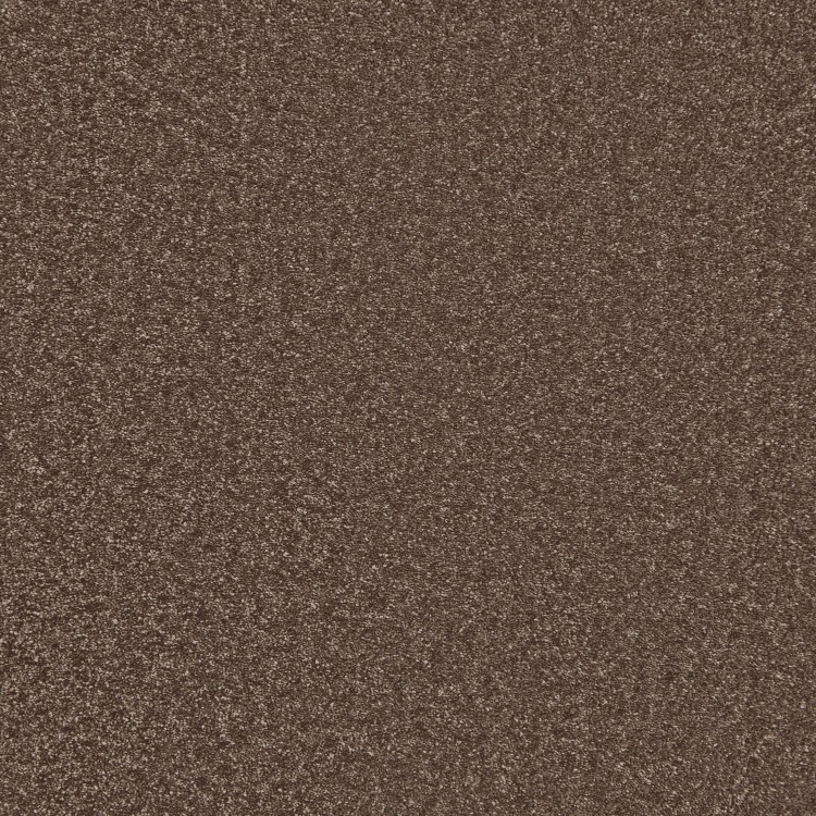 Cocoa
