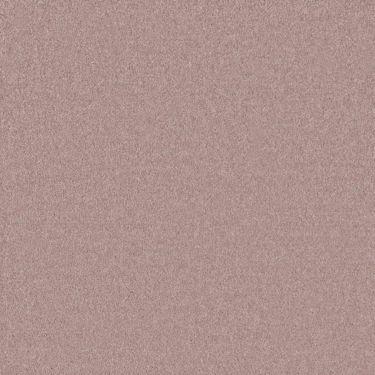 Starlight Blush