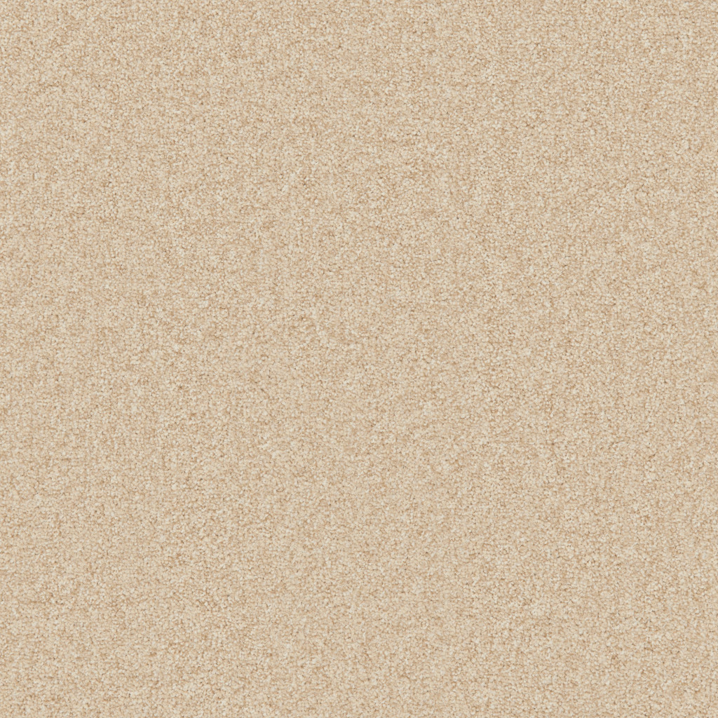 Buy Beige Carpets Online Up to 50 Off Tapi Carpets