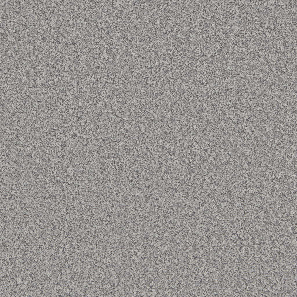 Buy Grey Carpets Online Upto 50 Off Tapi Carpet & Flooring