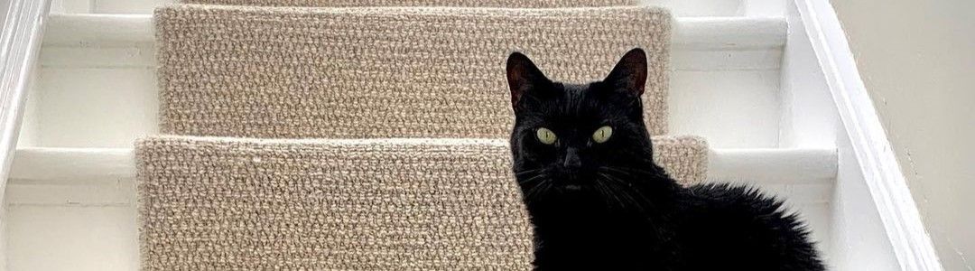 how do you stop cats scratching carpets
