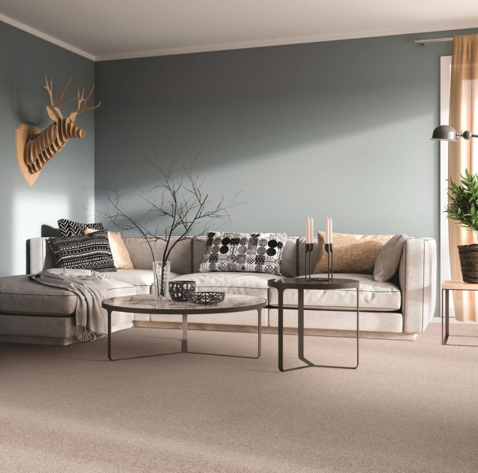 Melbourne Carpet Tapi Carpets & Floors