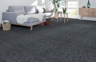 Tapi Top Cord Plus  Loop Pile Carpet