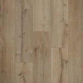 Bern - Alessi Top Down