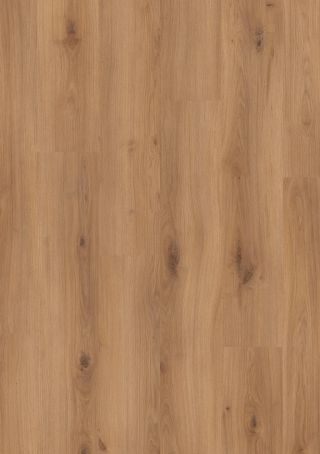 Cora Golden Oak Topshot