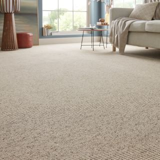Berber Loop Pile Carpets Free Samples Tapi