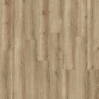 Kiri - Caruna Dryback