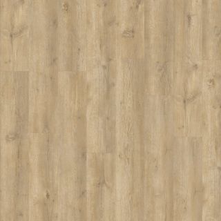 Montilla Planks - Bowie