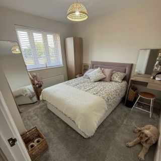 Bronco Saxony Carpet in Pewter