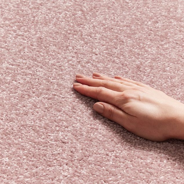 Goldfinch - Hand Shot