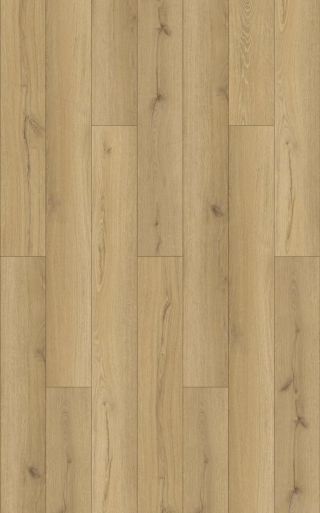 Fiji Plank DB Ono