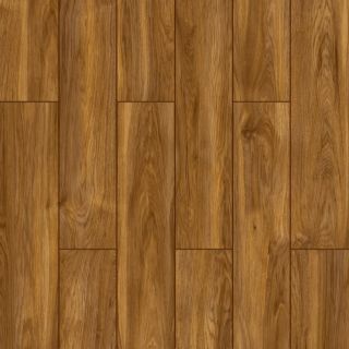 Castledale Elm