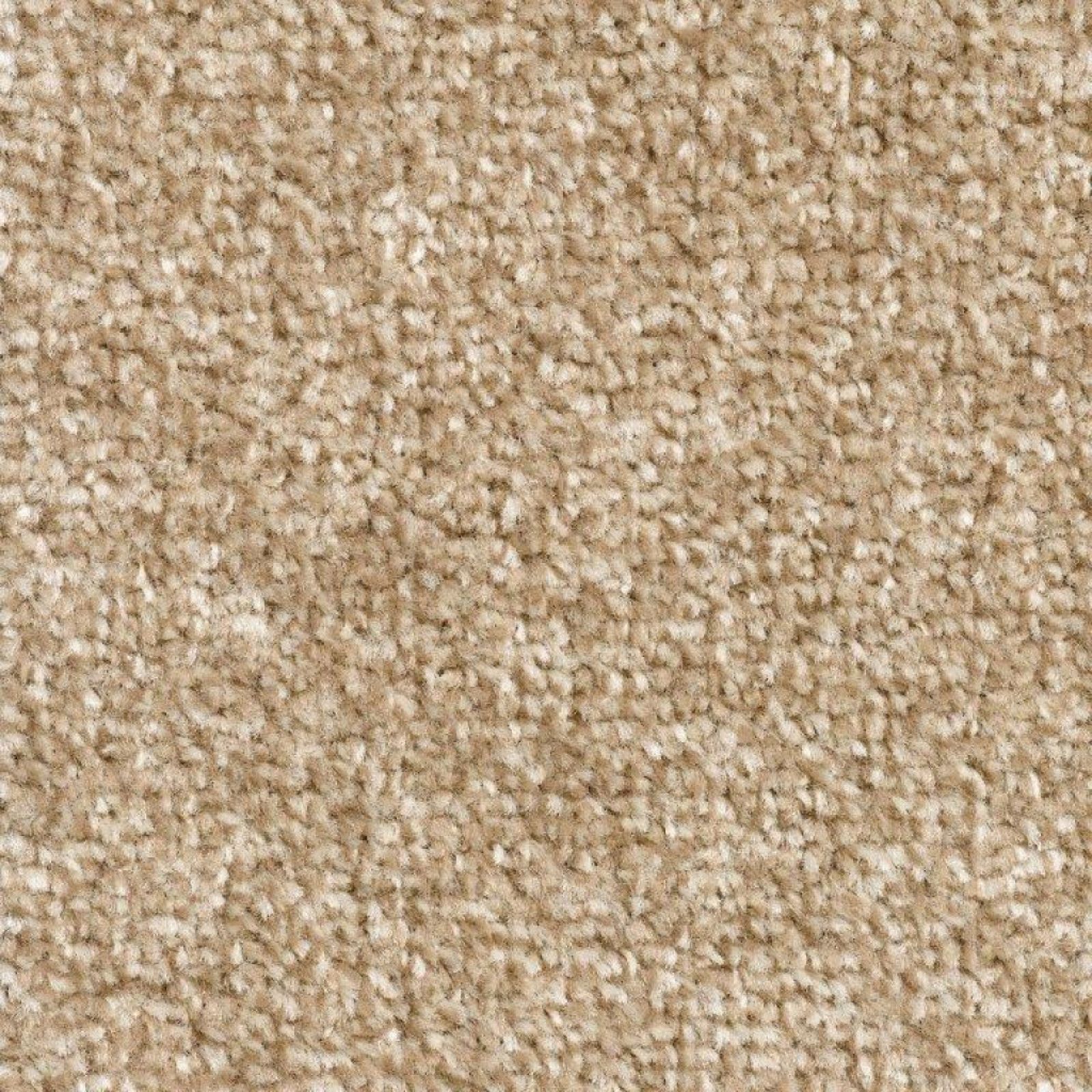 Beige Carpet Tapi Carpets & Floors page 2