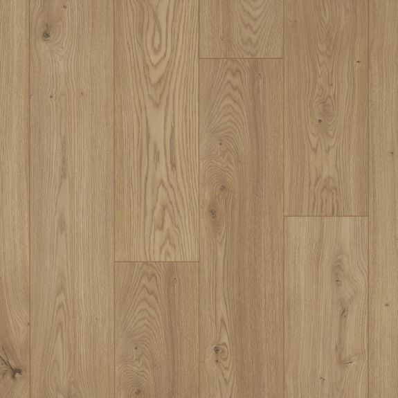 Falco - Vigo Oak