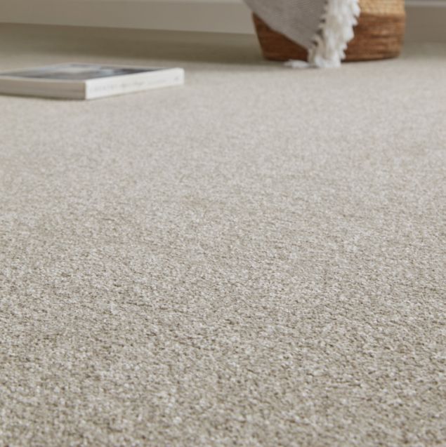 Monaco Dune Close-up